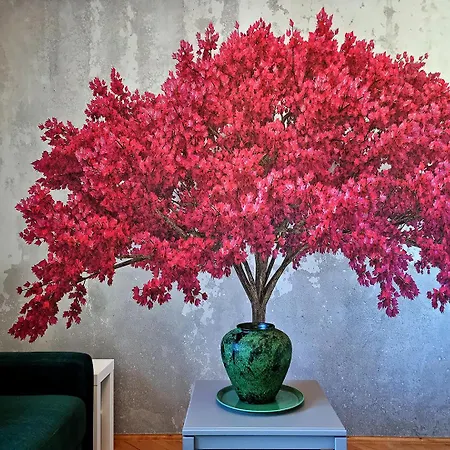 Classy - - Centrum *